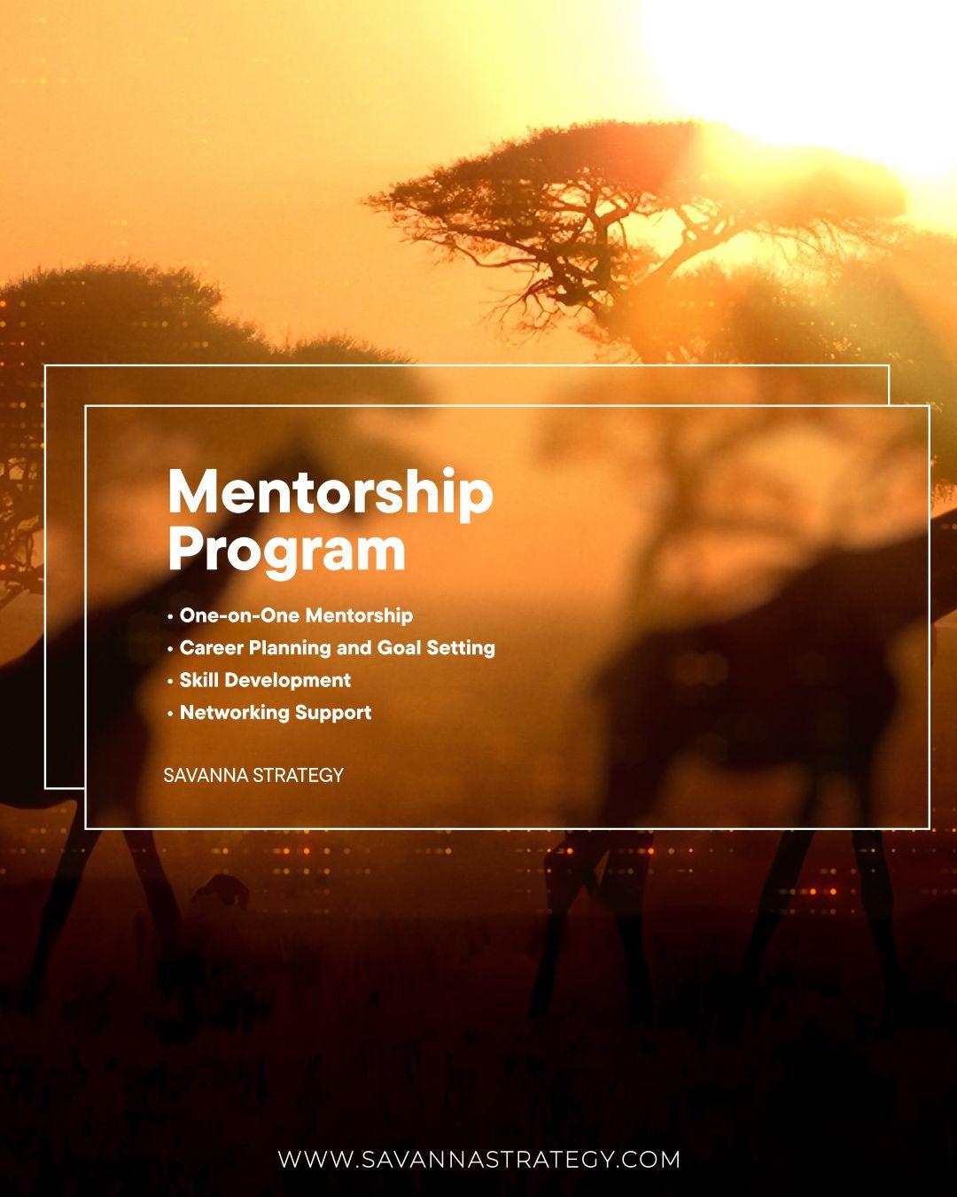 Ad-Hoc Mentorship Session