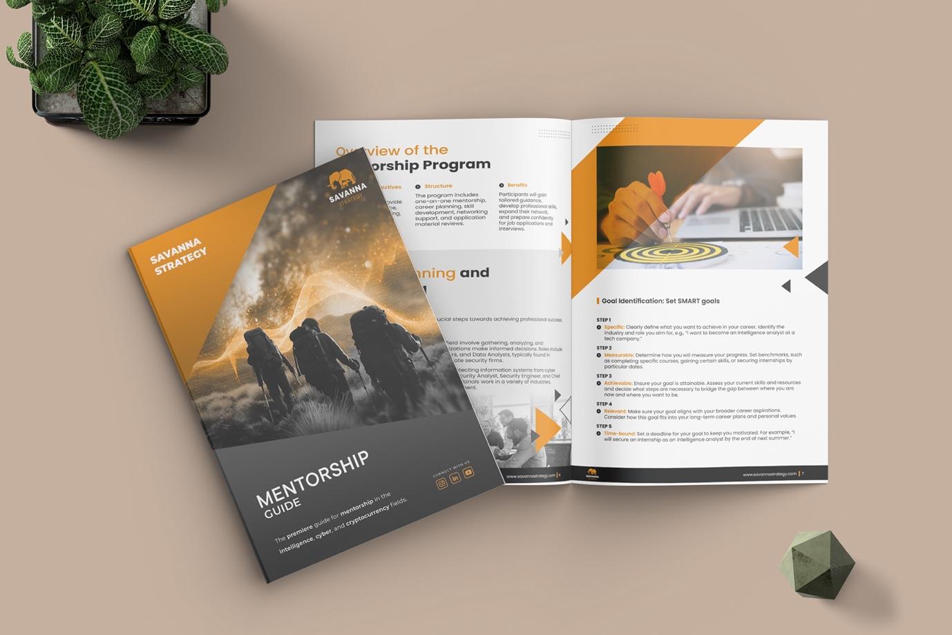 Mentorship Program Package